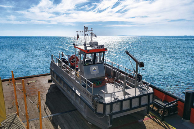 CARLA - Multipurpose catamaran