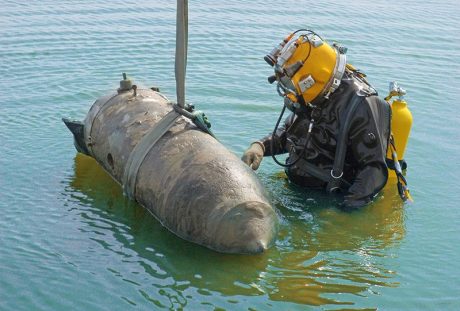 Diving Service